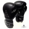 Apaks Boxing Fighting Leather Gloves