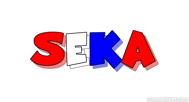 Seka-Sports Sales Store